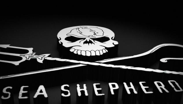 sea shepherd