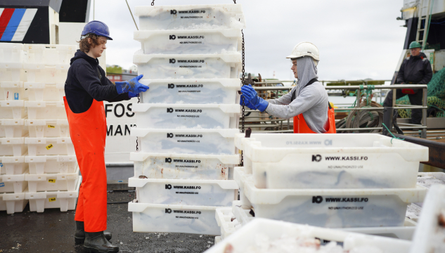 fiskur, fiskalandingar, avreiðingar