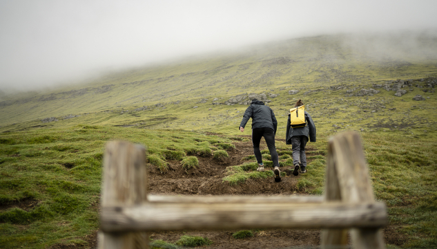 ferðafólk, ferðavinna, gongd í haga