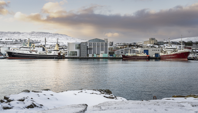 Vestara bryggja, Tórshavnar havn, Bacalao