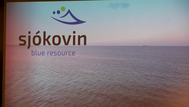 Sjókovin