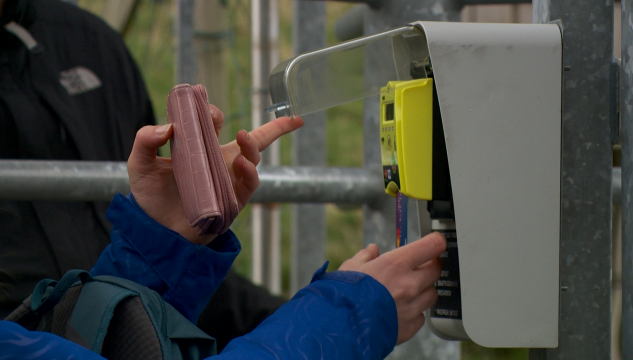 Gjaldsportur í Saksun, gjaldsportur, gjaldportur