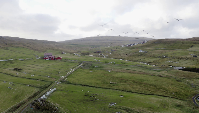 Fuglakrím, fuglakrím og avbyrgt øki í Havnardali
