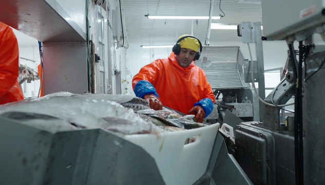 Vaðhorn, fiskavirki