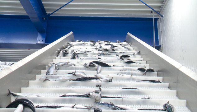 Makrelur og uppsjóvarvirki