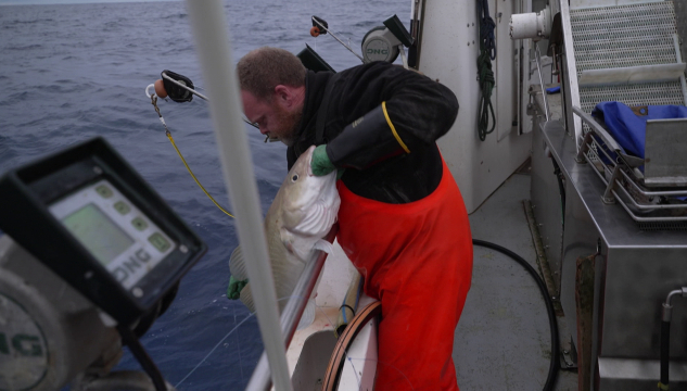 Útróður, útróður á Norðhavinum