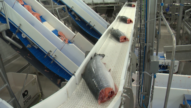 Bakkafrost, Bakkafrost á Glyvrum