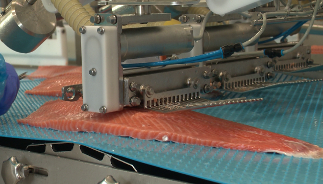 Bakkafrost, Bakkafrost á Glyvrum