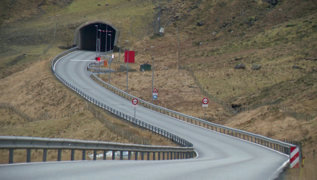 Viðareiðistunnilin