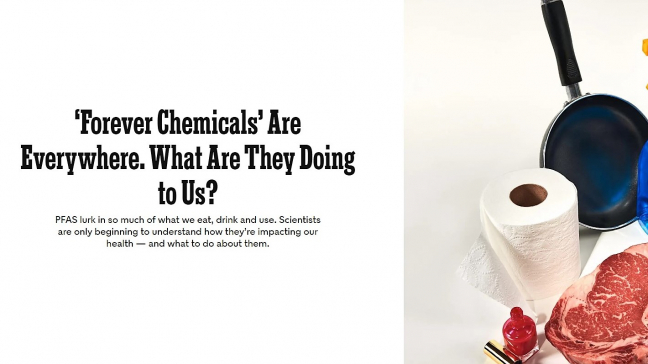 Forever Chemicals' Are Everywhere. What Are They Doing to Us? - The New  York Times